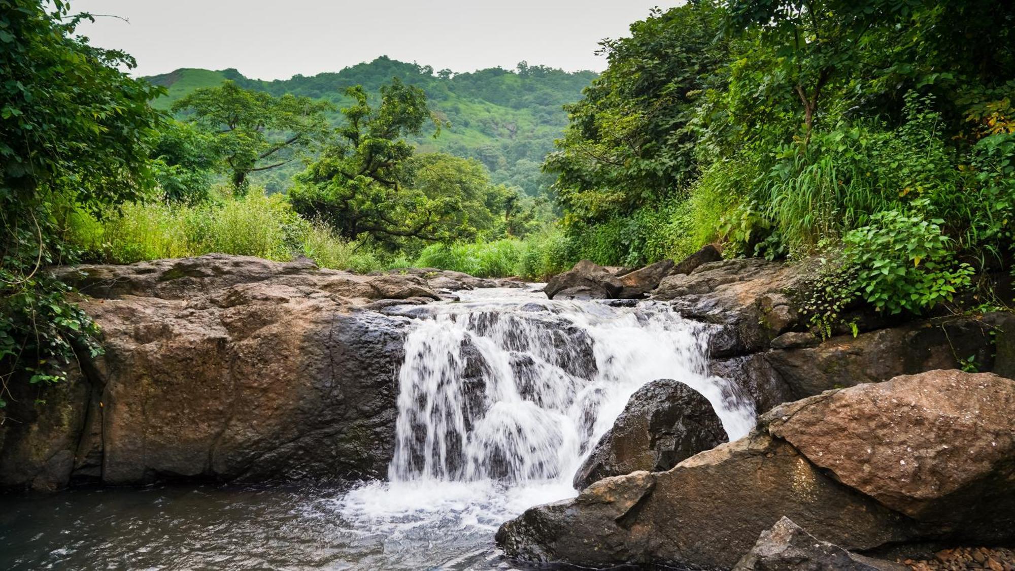 Whispering Peepul Resort Badlapur Exterior foto